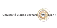 DIRECTEUR DU PATRIMOINE H/F